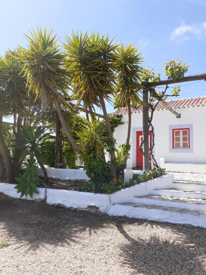 Вилла Monte Da Casa Branca By Hi Alentejo Sao Bartolomeu da Serra Экстерьер фото