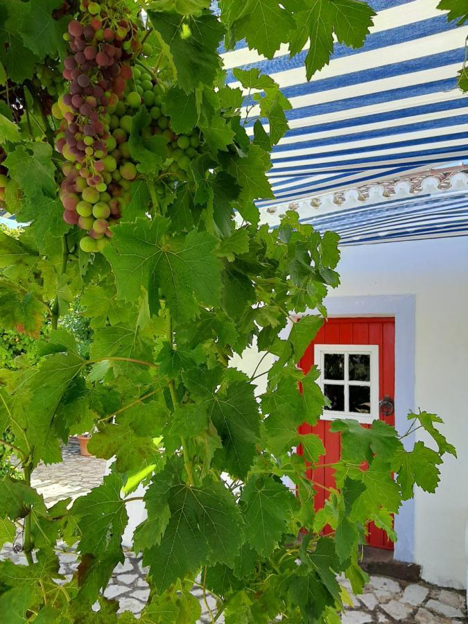 Вилла Monte Da Casa Branca By Hi Alentejo Sao Bartolomeu da Serra Экстерьер фото
