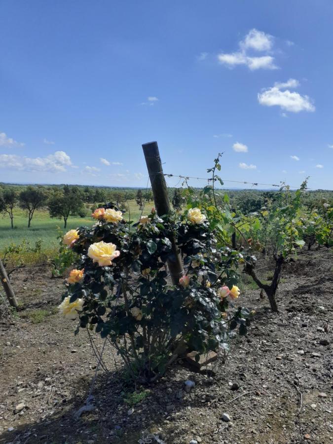 Вилла Monte Da Casa Branca By Hi Alentejo Sao Bartolomeu da Serra Экстерьер фото